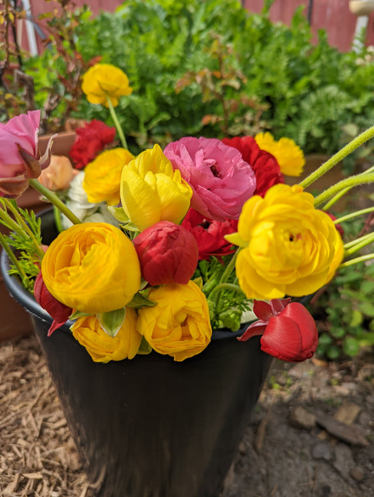 Bucket of Flowers :: 30 Stems :: Growers Choice