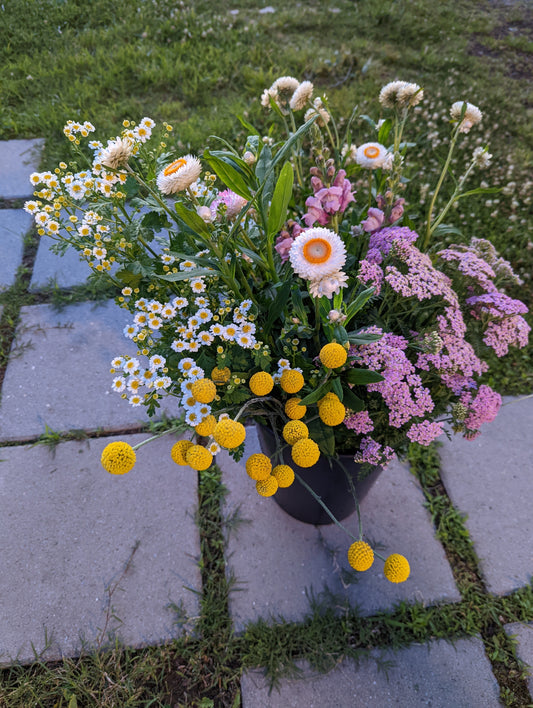 Bucket of Flowers :: 75 Stems :: Growers Choice